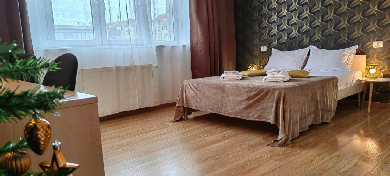 Comfort Apartments 蒂米什瓦拉 外观 照片