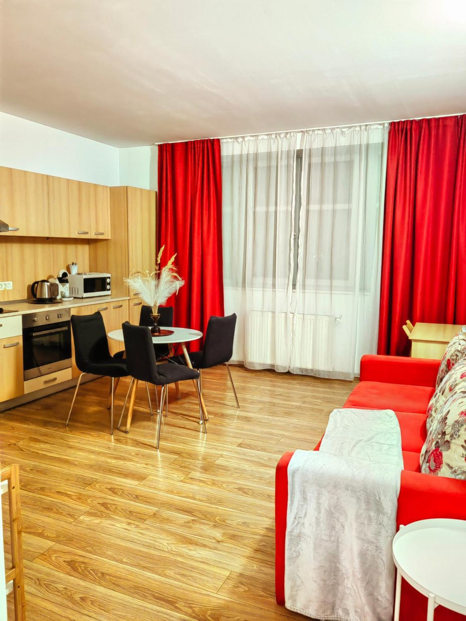 Comfort Apartments 蒂米什瓦拉 外观 照片